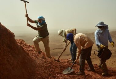 Hallan fósiles del ‘Spinosaurus’, la primera especie de dinosaurio acuático